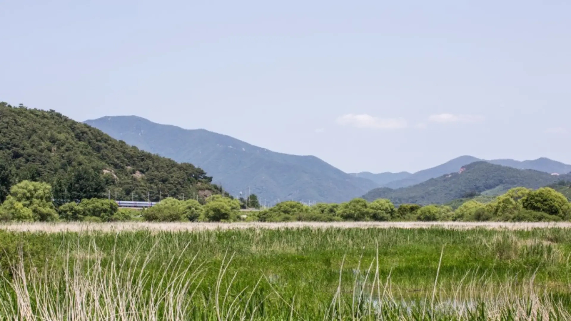 2024년 추석 기차표 예매 일정 방법 (잔여석 및 취소표 노리는 법)