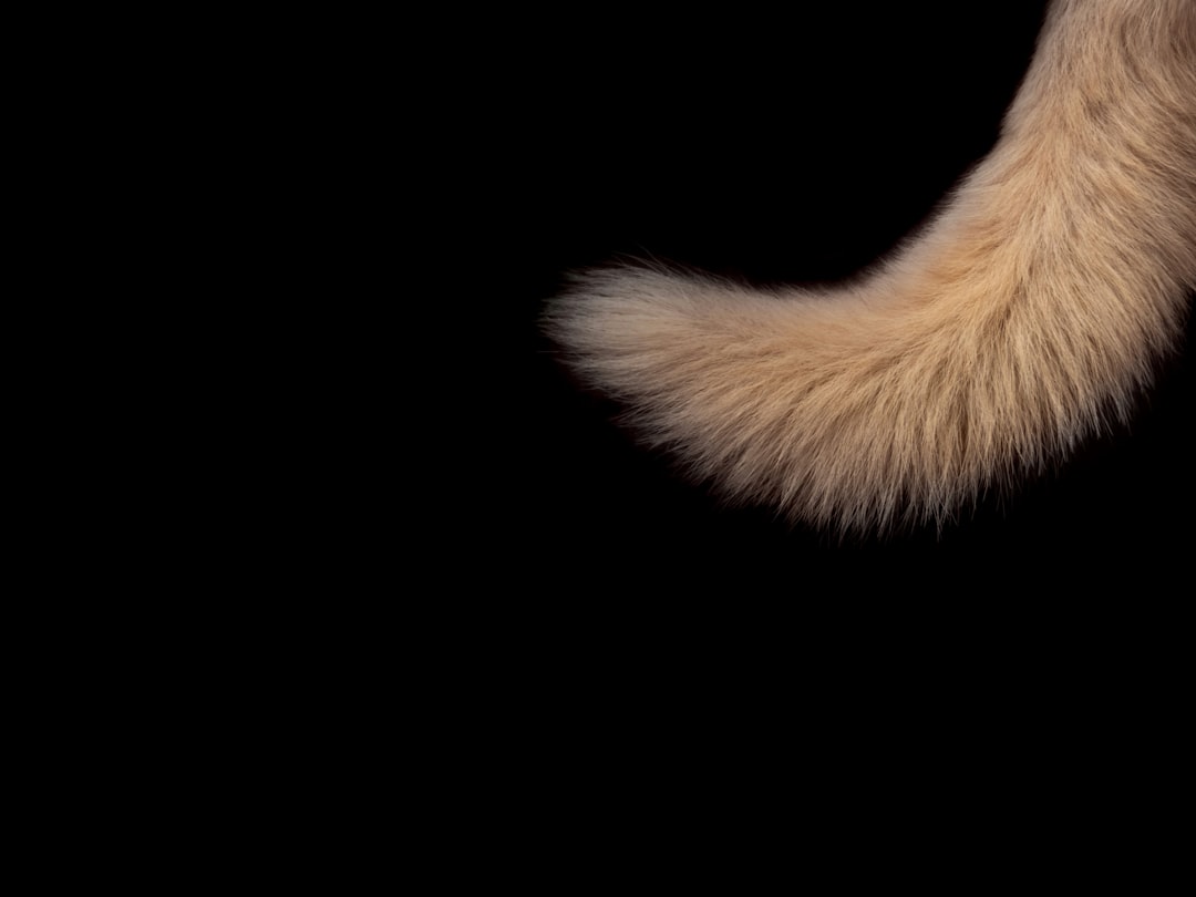 Fur