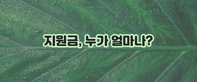 추석 재난 지원금, 명절 위로 지원금