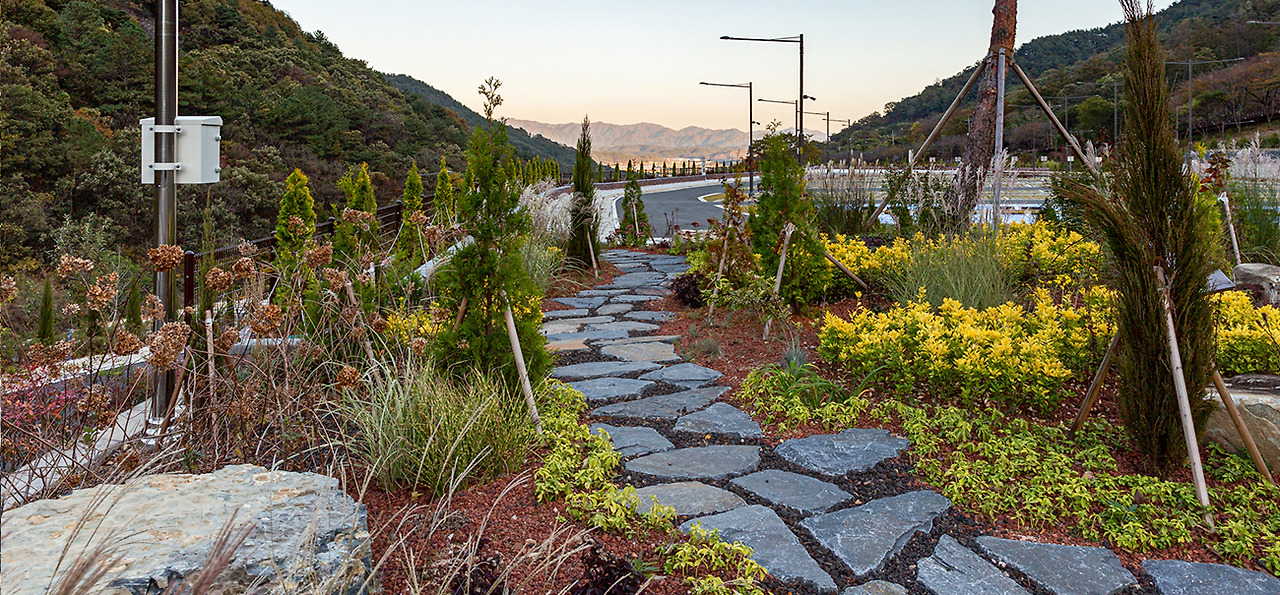 월아산 숲속의진주 수국 명소 가이드! 개화시기, 관람 코스, 포토존 완벽 정리