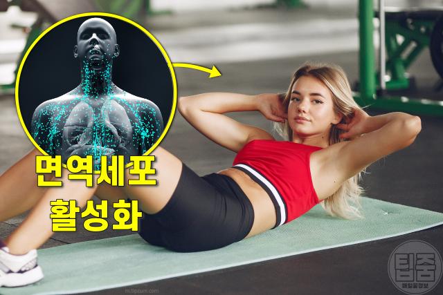 면역력 높이는 운동,면역력 높이는 방법,팁줌