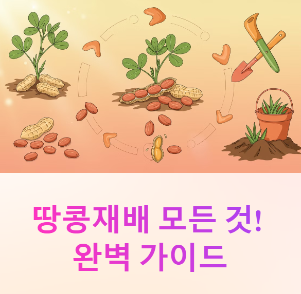 땅콩심는시기 파종 시기 심는 방법 모종 키우기 수확시기 A to Z