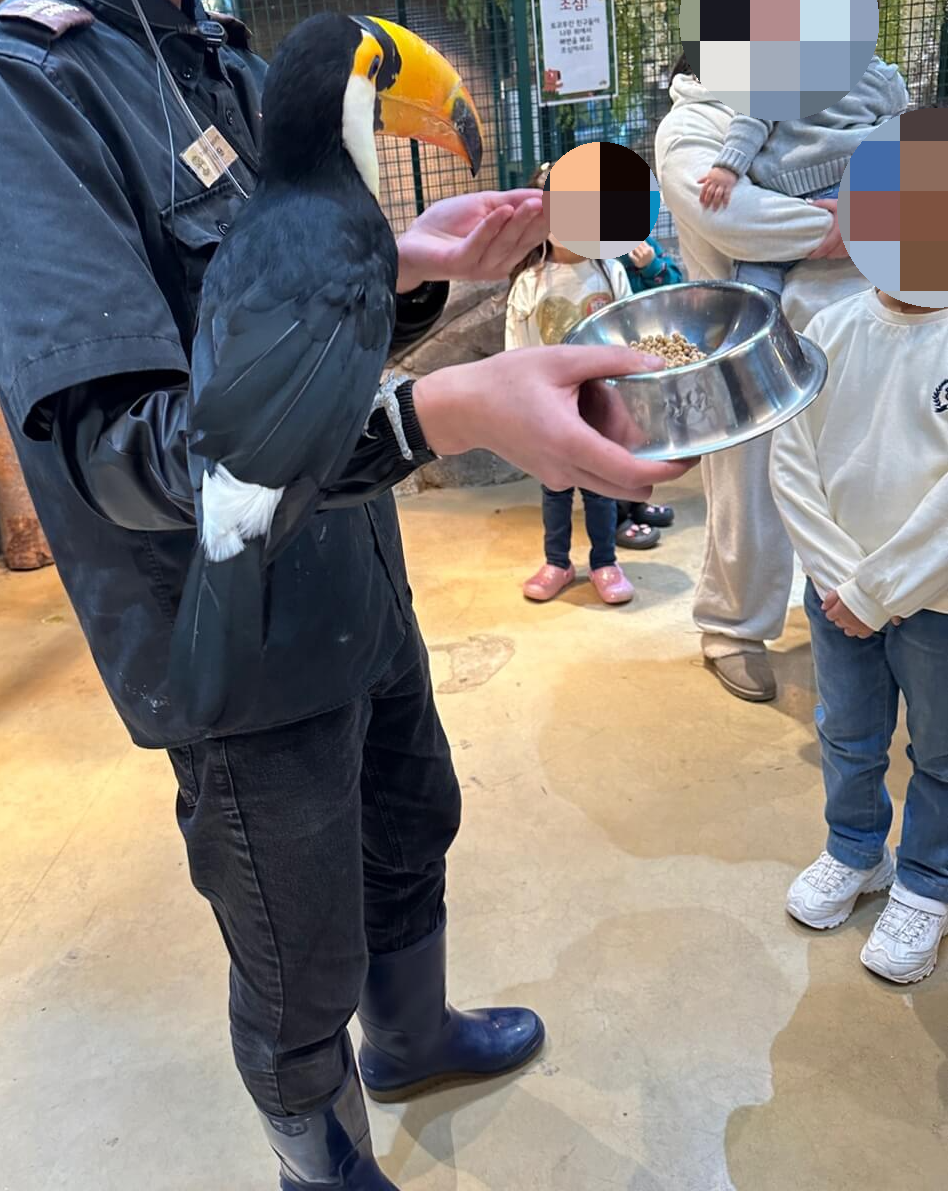 주렁주렁 동탄점 토코투칸 먹이 체험 장면