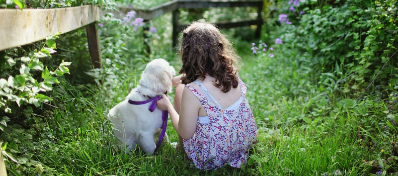 아이와 강아지가 숲 속에서 앉아있는 이미지