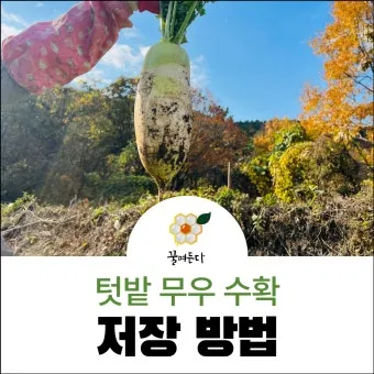 씨앗 저장법 건조 저온 밀봉 발아율 유지 교체 주기_14