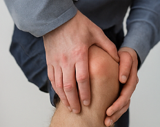 철갑상어 콘드로이친