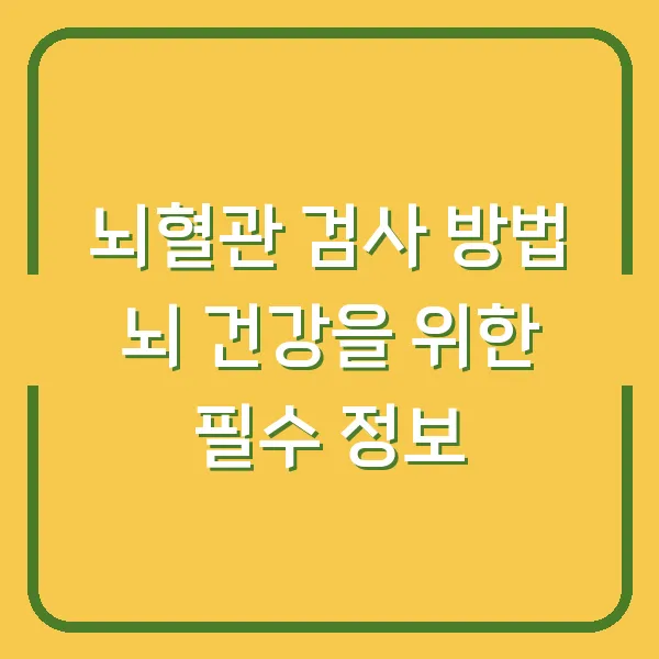 뇌혈관 검사 방법 뇌 건강을 위한 필수 정보