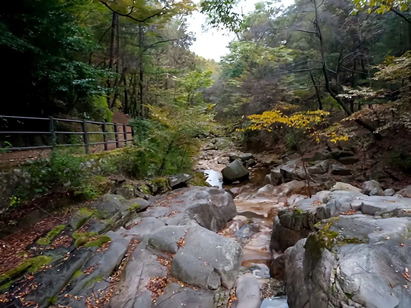 초가을 '벽운계곡'