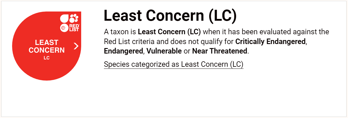 적색목록: 최소 관심