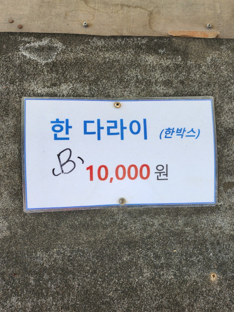 딸기 가격