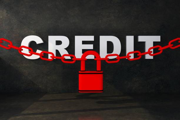 여신거래안심차단서비스