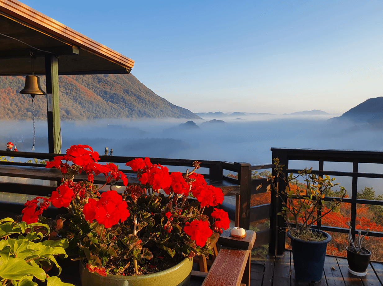 대둔산자연휴양림 대둔산의 절경 속 힐링 공간