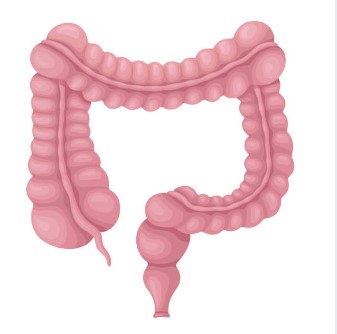 대장내시경 전 음식 초기증상