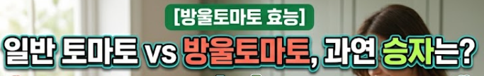 방울토마토의 효능