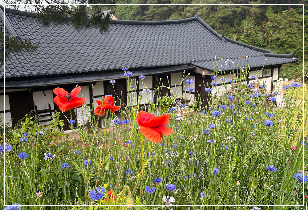 청농원 주변 이미지 / 출처: 고창 청농원