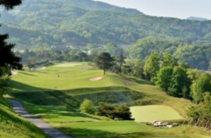 골프존 티스캐너 할인권