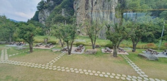 밀양 달리아 커피