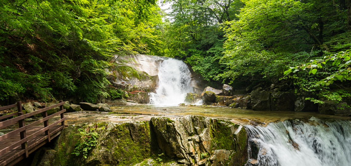 인제 방태산 자연휴양림
