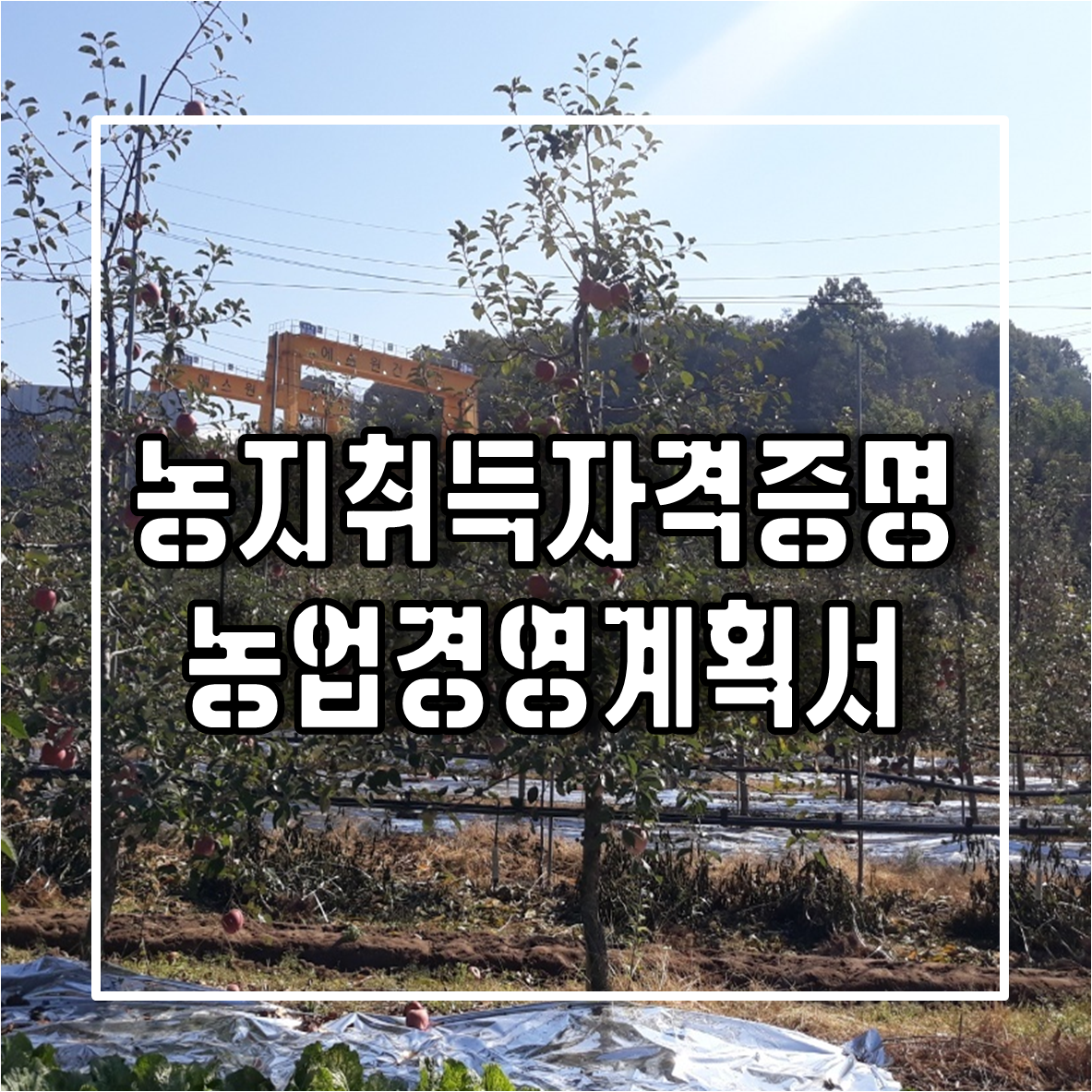 농지취득자격증명과 농업경영계획서 작성