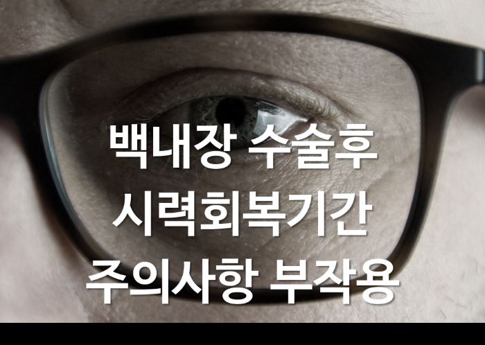 백내장 수술후 시력회복기간 주의사항 부작용