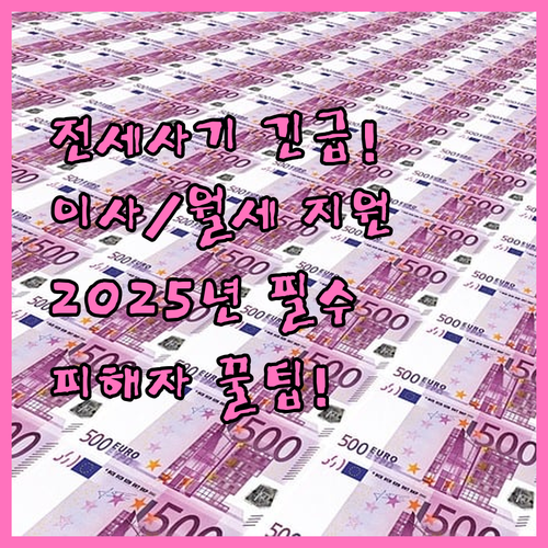 2025년 인천 전세사기 피해자 금융..