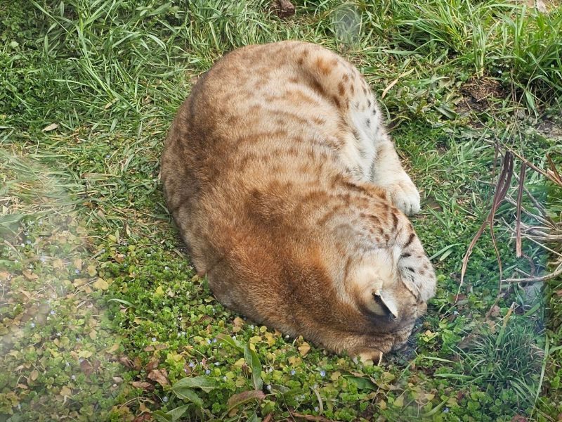 우치공원 동물원