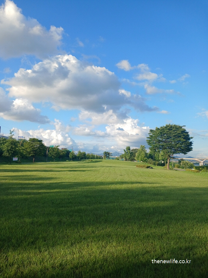 Bright sky and open lawn at Guri Hangang Park, where natural sunlight and green space promote serotonin production/밝은 하늘과 열린 잔디밭이 어우러진 구리 한강시민공원 – 햇빛과 자연이 세로토닌 분비를 돕는 잔디밭 어싱효과 공간