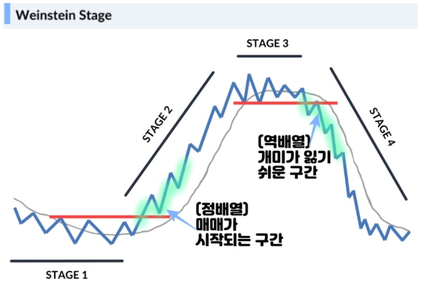 바인슈타인 스테이지 이미지