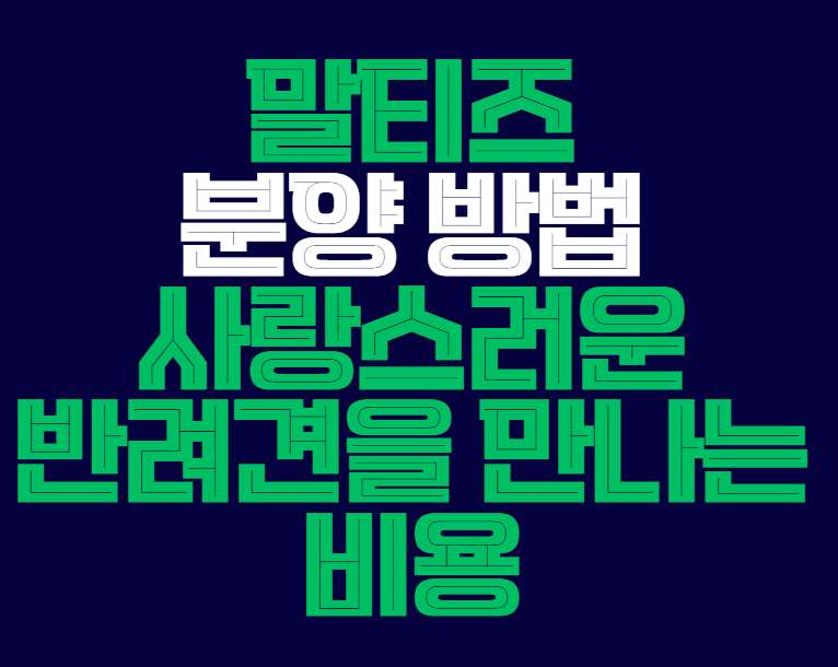 말티즈_분양방법