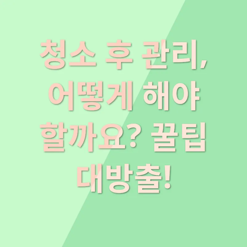 냉장고 위생 관리_3