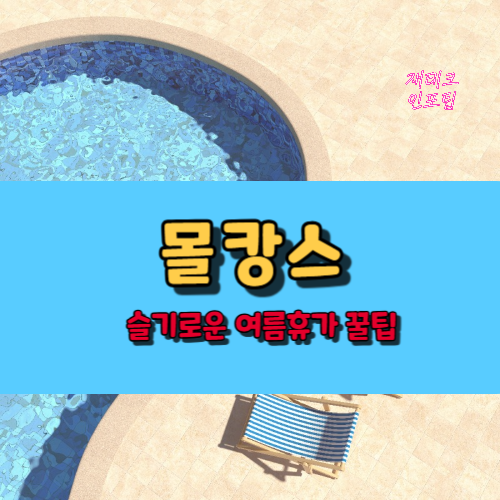 몰캉스! 슬기로운 여름휴가 꿀팁