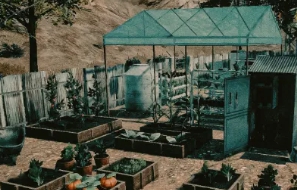 디카스트 데이즈