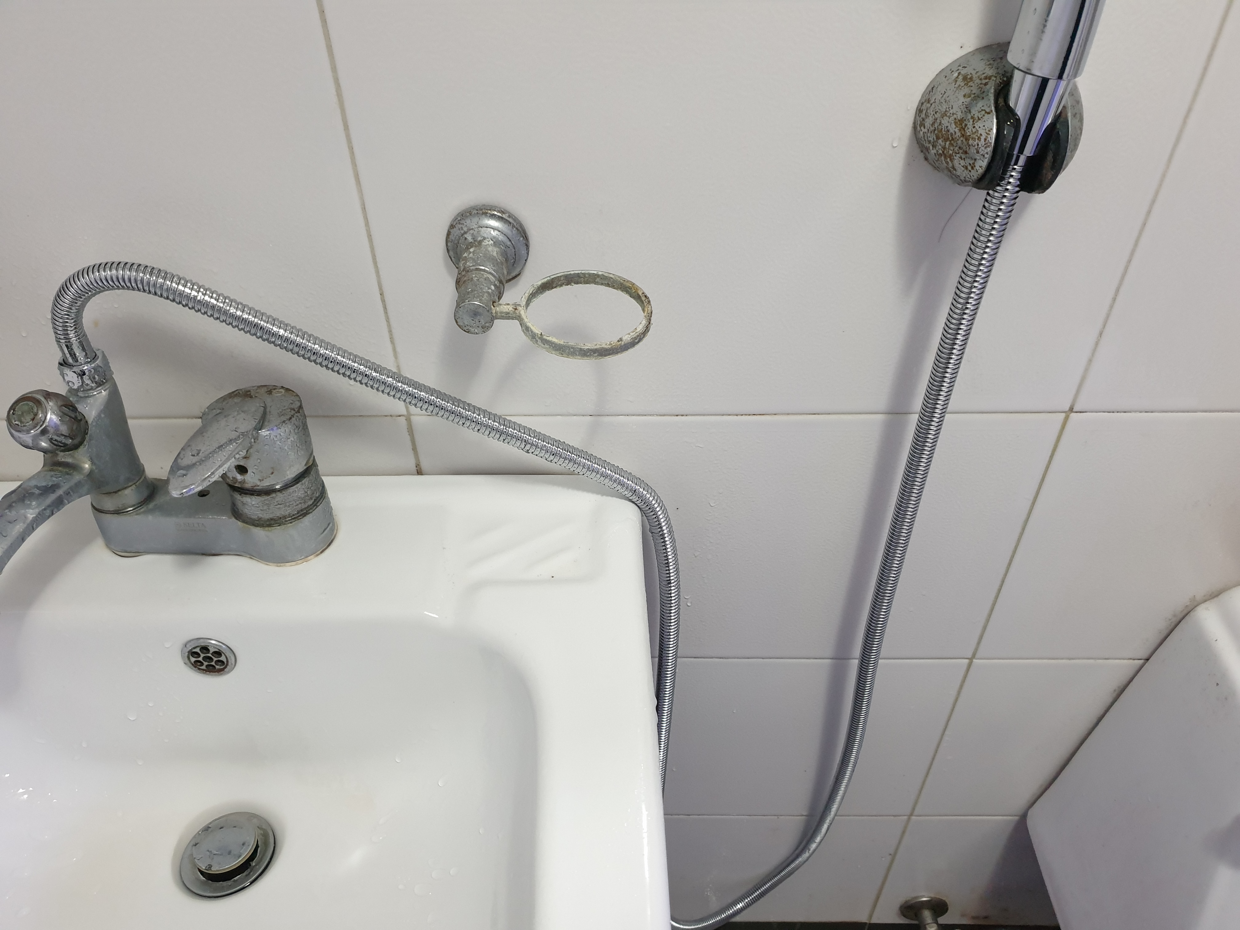 다이소 샤워호스