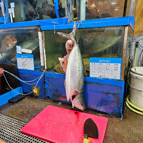 노량진수산시장&amp;#44;방어손질&amp;#44;오로시