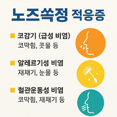 노즈쏙정 적응증