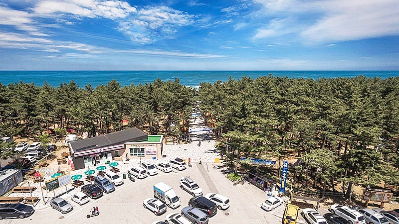 연곡해변-솔향기-캠핑장