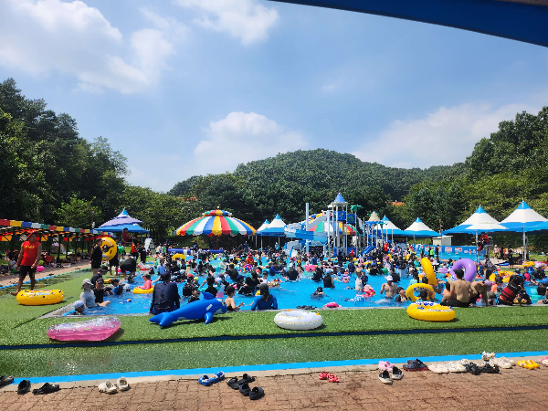 무봉산숲속수영장