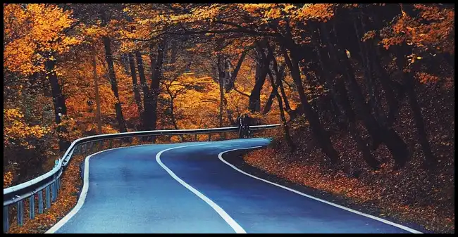 내장산 케이블카 예약방법, 요금, 주차장 정보 (+ 산행코스 )