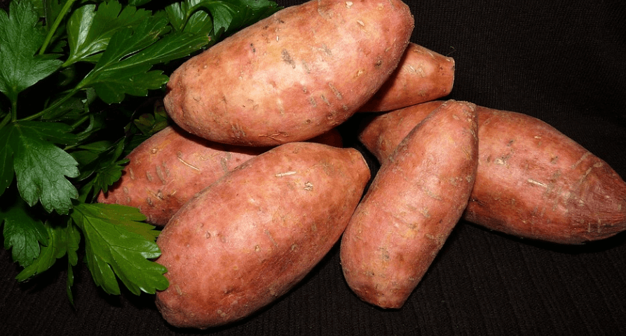 여러 개의 고구마가 놓여 있다