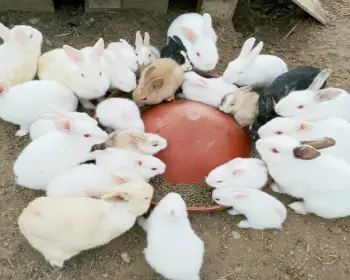 율봄식물원_9