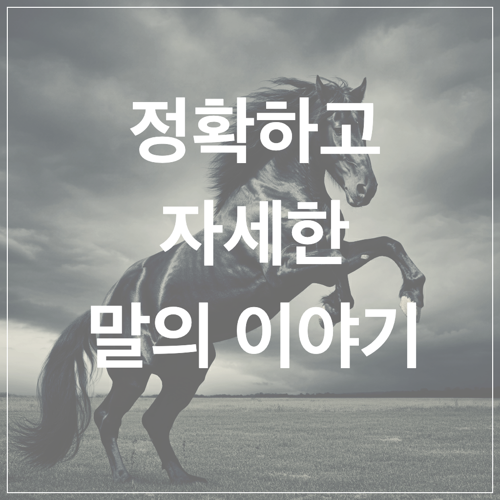 말경마에서승마까지