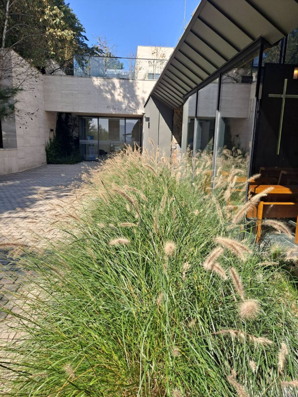 부활교회 외부 강아지풀