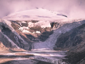 칼륨 수치 낮추는 방법