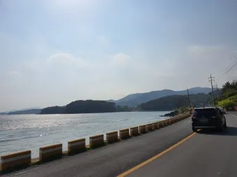 마산 해안도로 5월의 꽃 다정큼나무 산딸나무 해당화_10