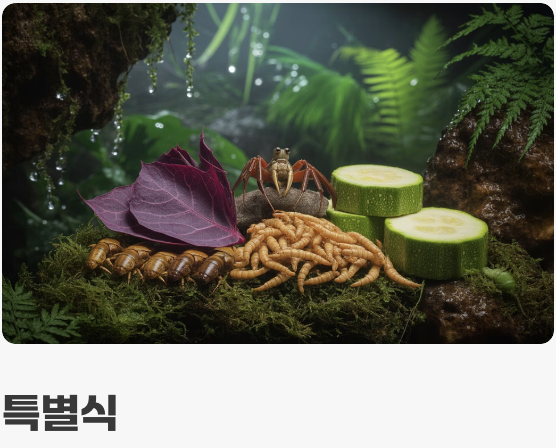 편식 없는 미식가 (먹이 가이드)