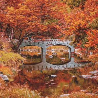 공주 가볼만한곳 베스트10 현지인 추천 필수코스_10