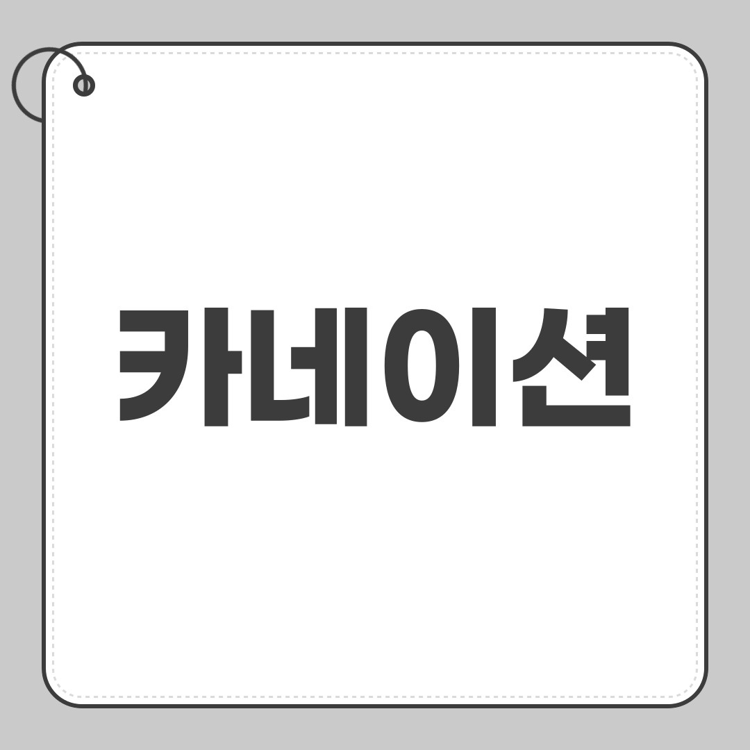 카네이션