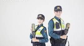 고졸&middot;대졸에 따라 달라지는 공무원 직렬 선택 전략 (2026대 최신판)