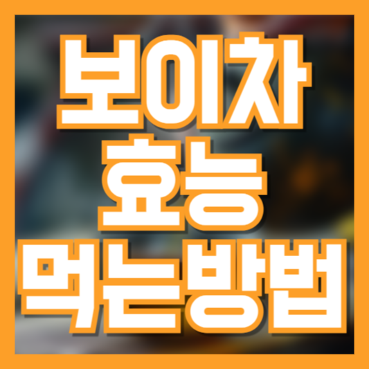 보이차 제대로 마시는 법과 효능 극대화 팁