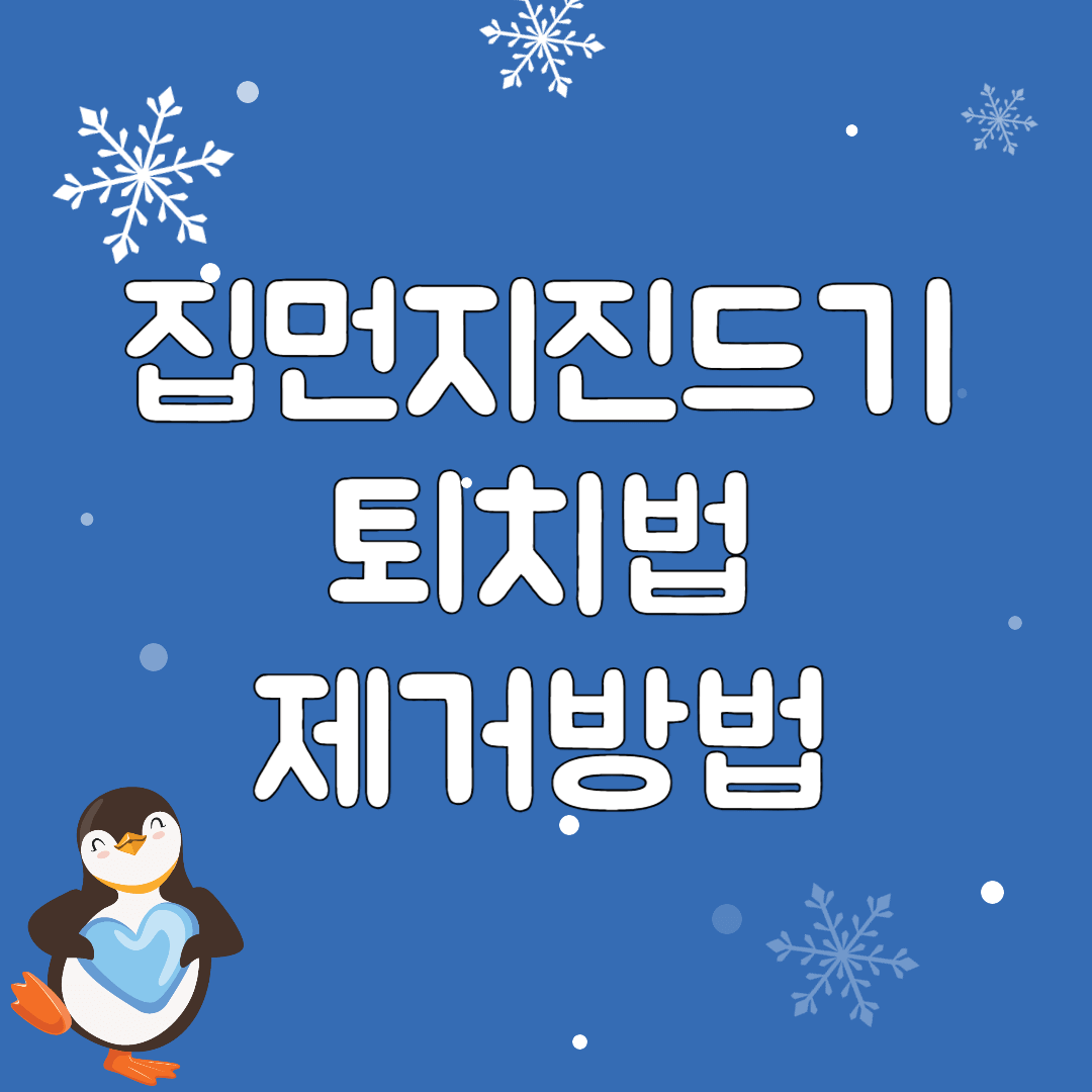집먼지진드기-퇴치법-및-제거방법-알아보기